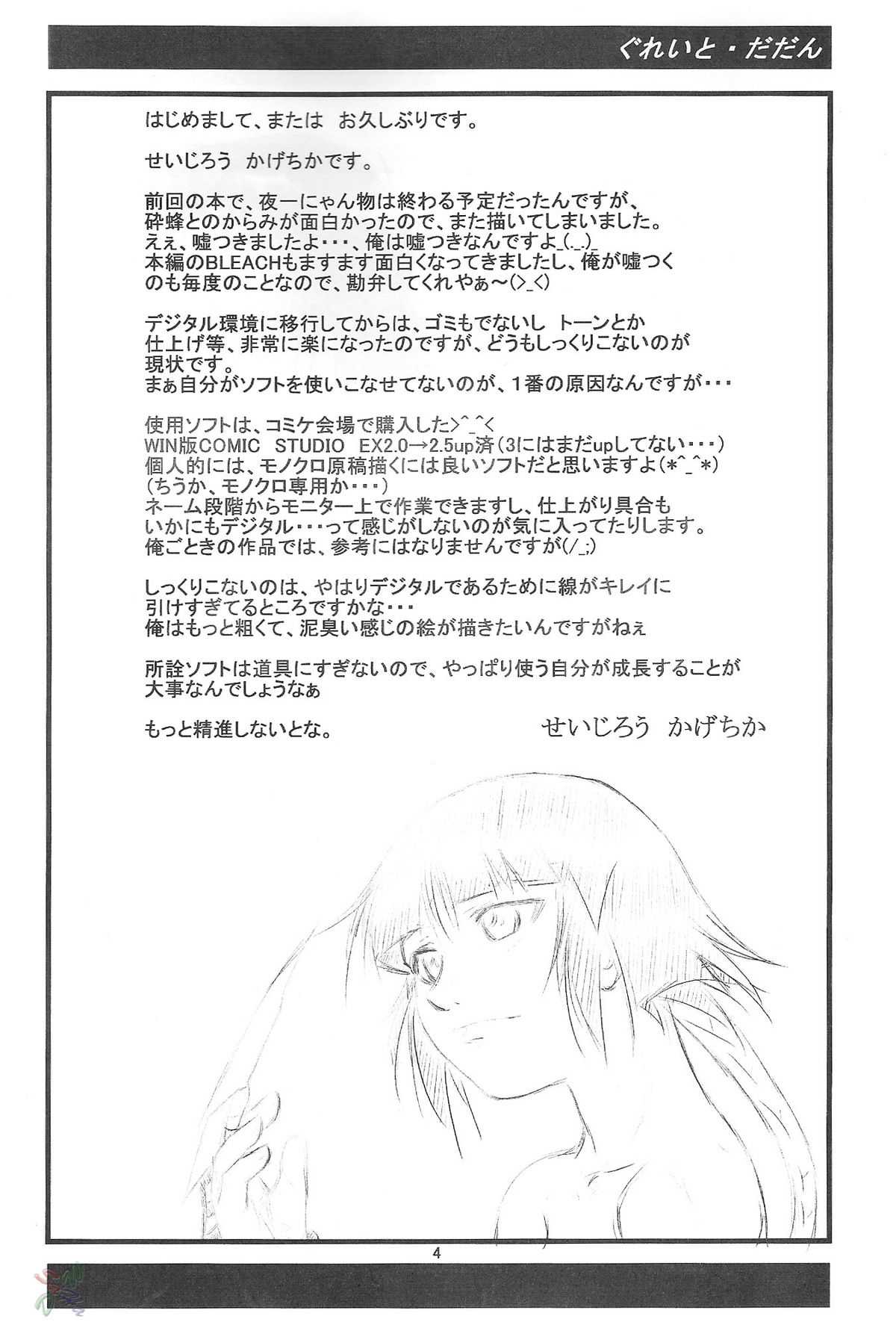 [Bleach] Yoruichi Nyan to Soi Fon&#039;s Book [English] 
