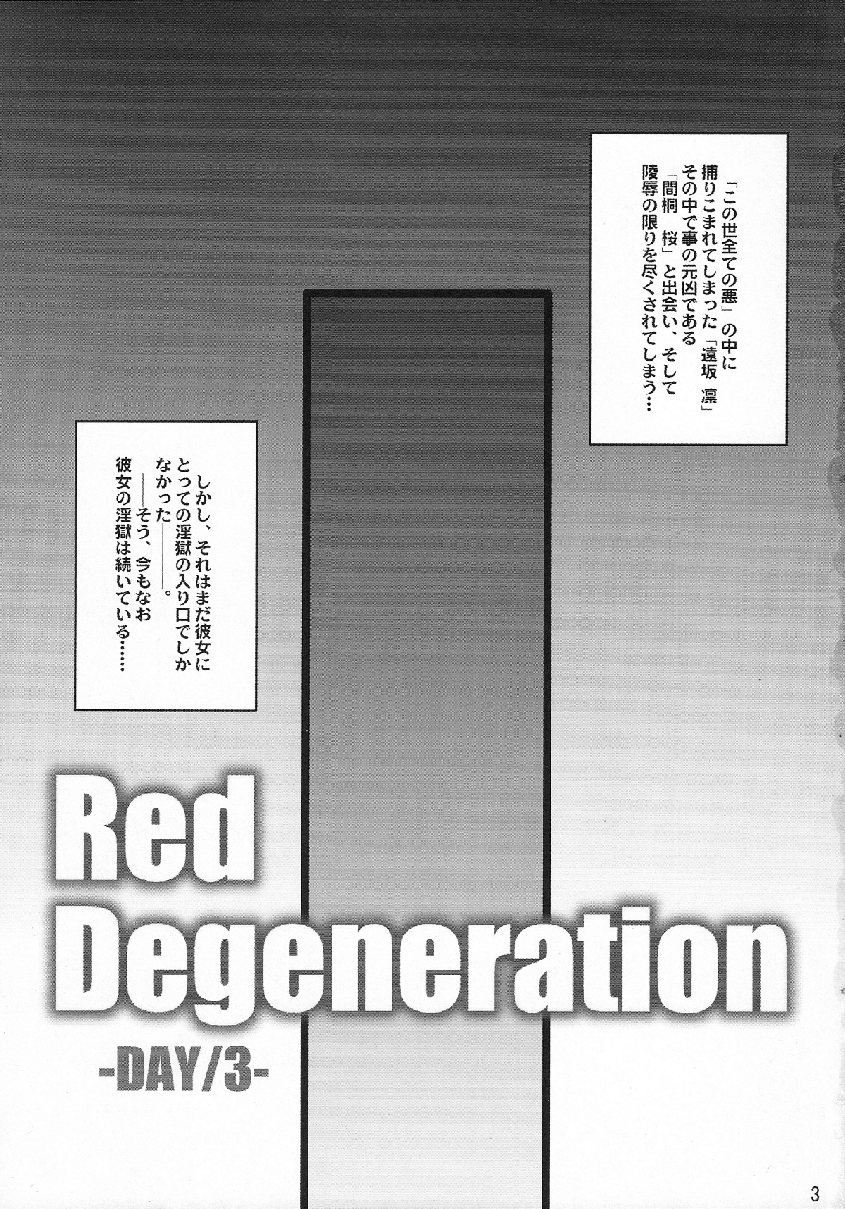 [H.B(B-RIVER)] Red Degeneration DAY3 (Fate stay night) 