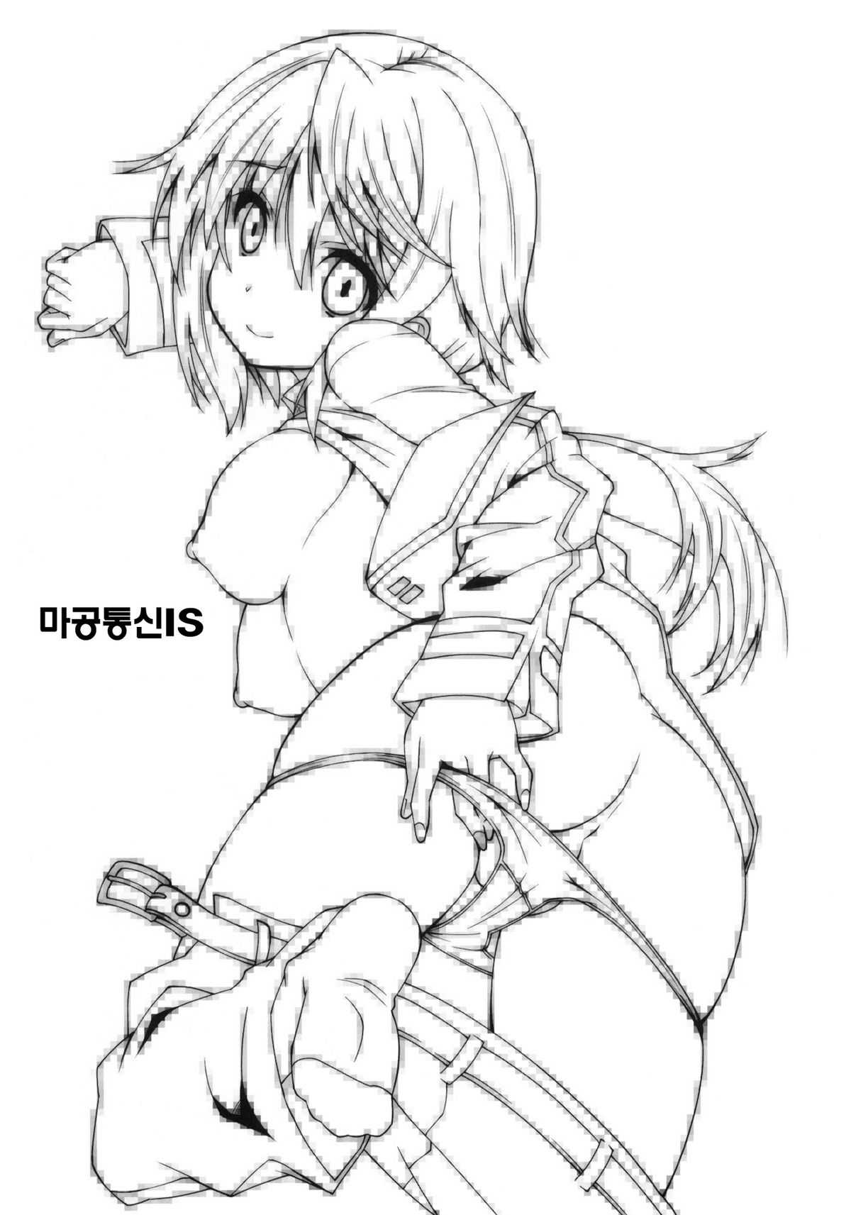 (C80) [Makuu Gundan (Shinozuka Atsuto)] Makuu Tsuushin IS +Card (Infinite Stratos) (korean) (Team HA-NU) 