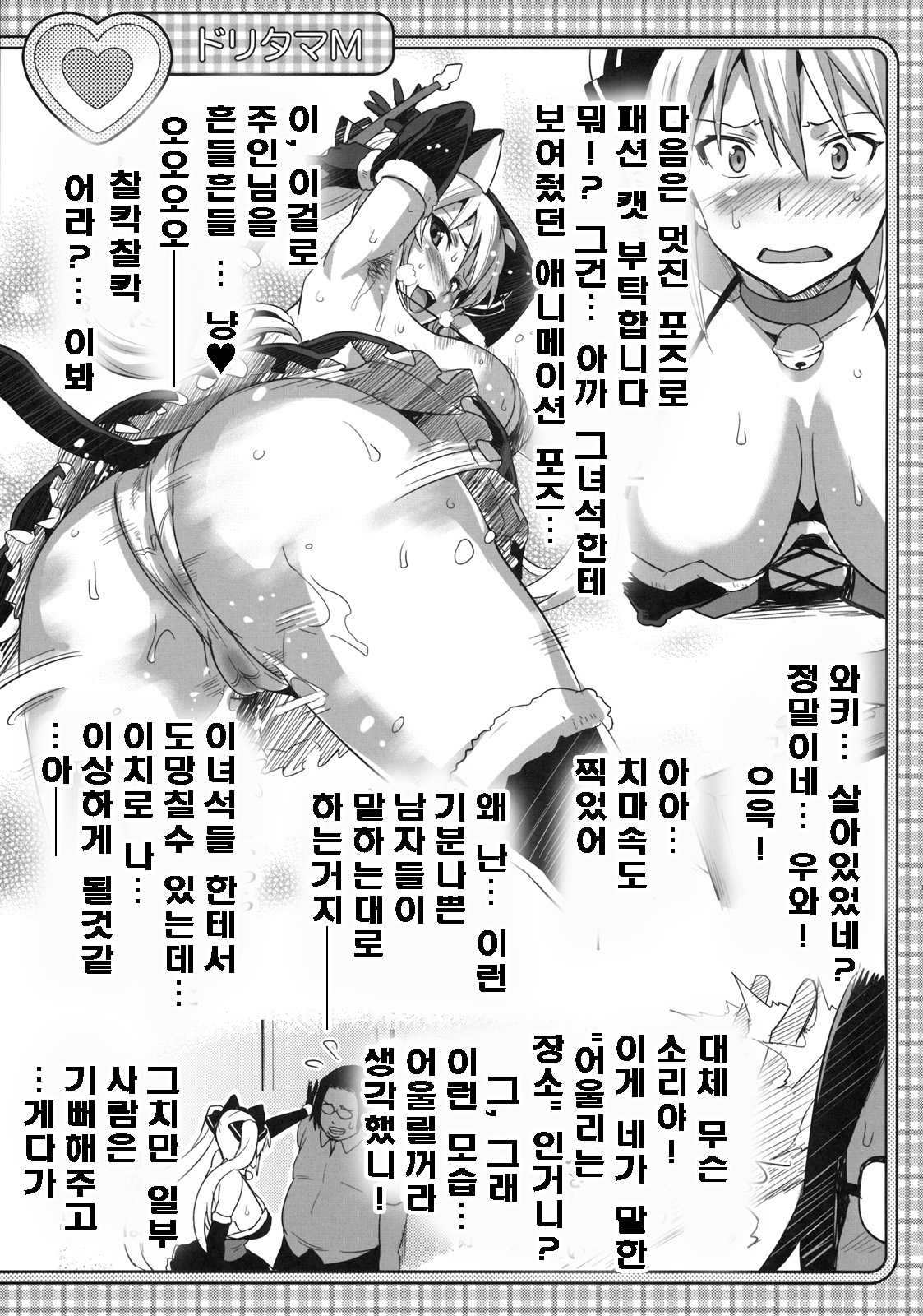 (C79) [Shinjugai (Takeda Hiromitsu)] Doritama MR2 (DREAM C CLUB) (korean) (C79) [真珠貝 (武田弘光)] ドリタマMR2 (ドリームクラブ) [韓国翻訳]