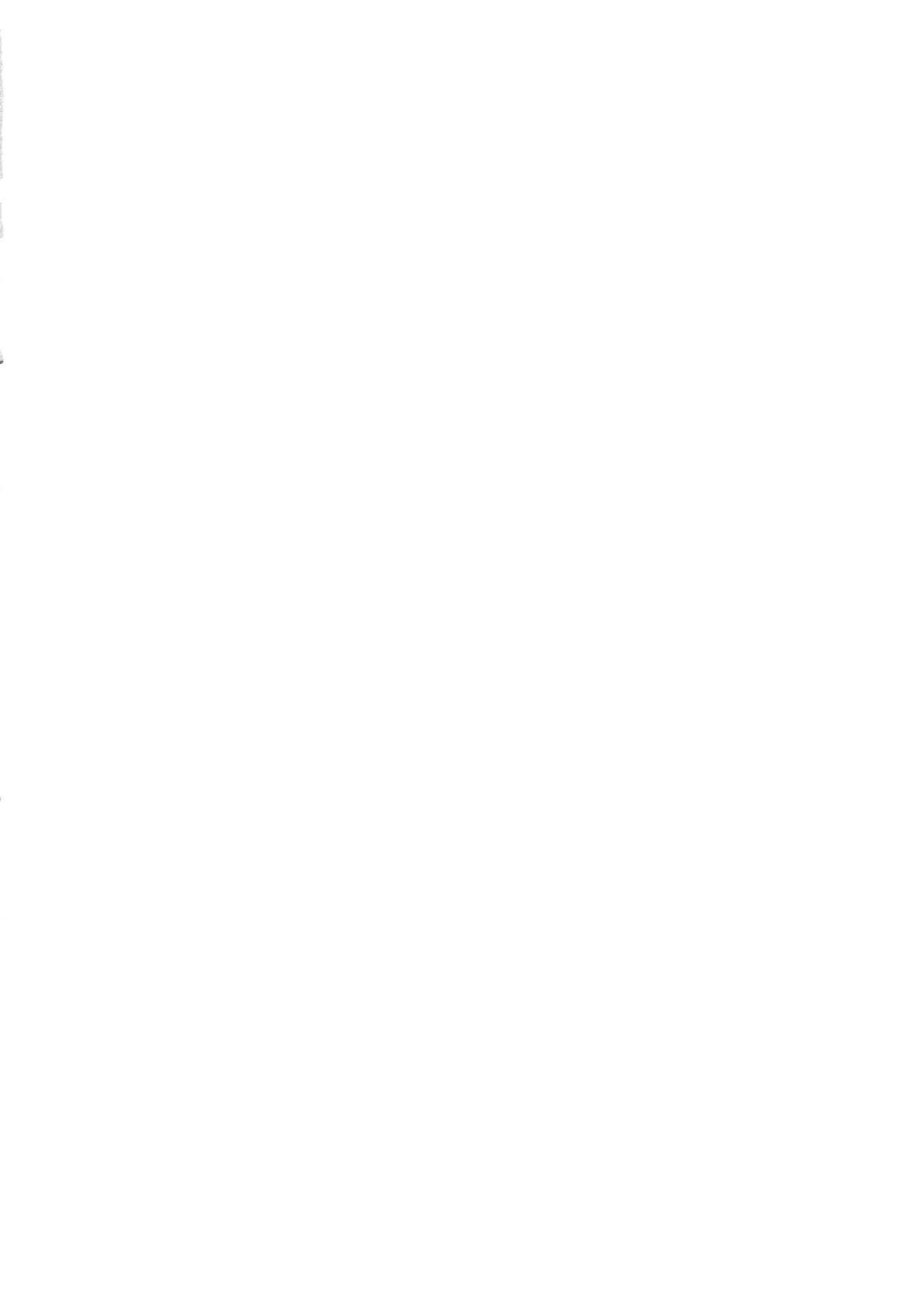 (C85) [Zettai Shoujo (RAITA)] Mahou Shoujo 12.0 (Zettai Junpaku Mahou Shoujo) [Chinese] [Genesis漢化] (C85) [絶対少女 (RAITA)] 魔法少女12.0 (絶対純白・魔法少女) [中国翻訳]