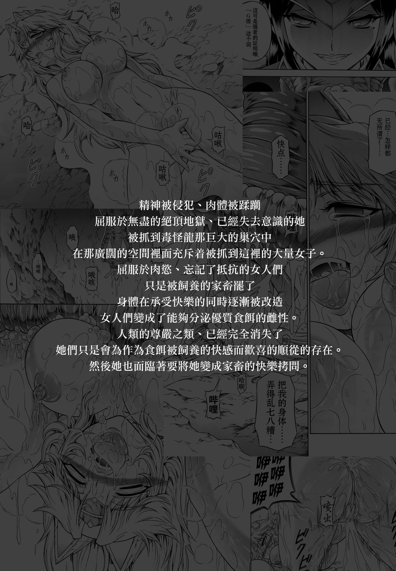 (C88) [Yokohama Junky (Makari Tohru)] Solo Hunter no Seitai 4 The Fifth Part (Monster Hunter) [Chinese] [屏幕髒了漢化組&无毒汉化组] (C88) [Yokohama Junky (魔狩十織)] ソロハンターの生態 4 The Fifth Part (モンスターハンター) [中国翻訳]