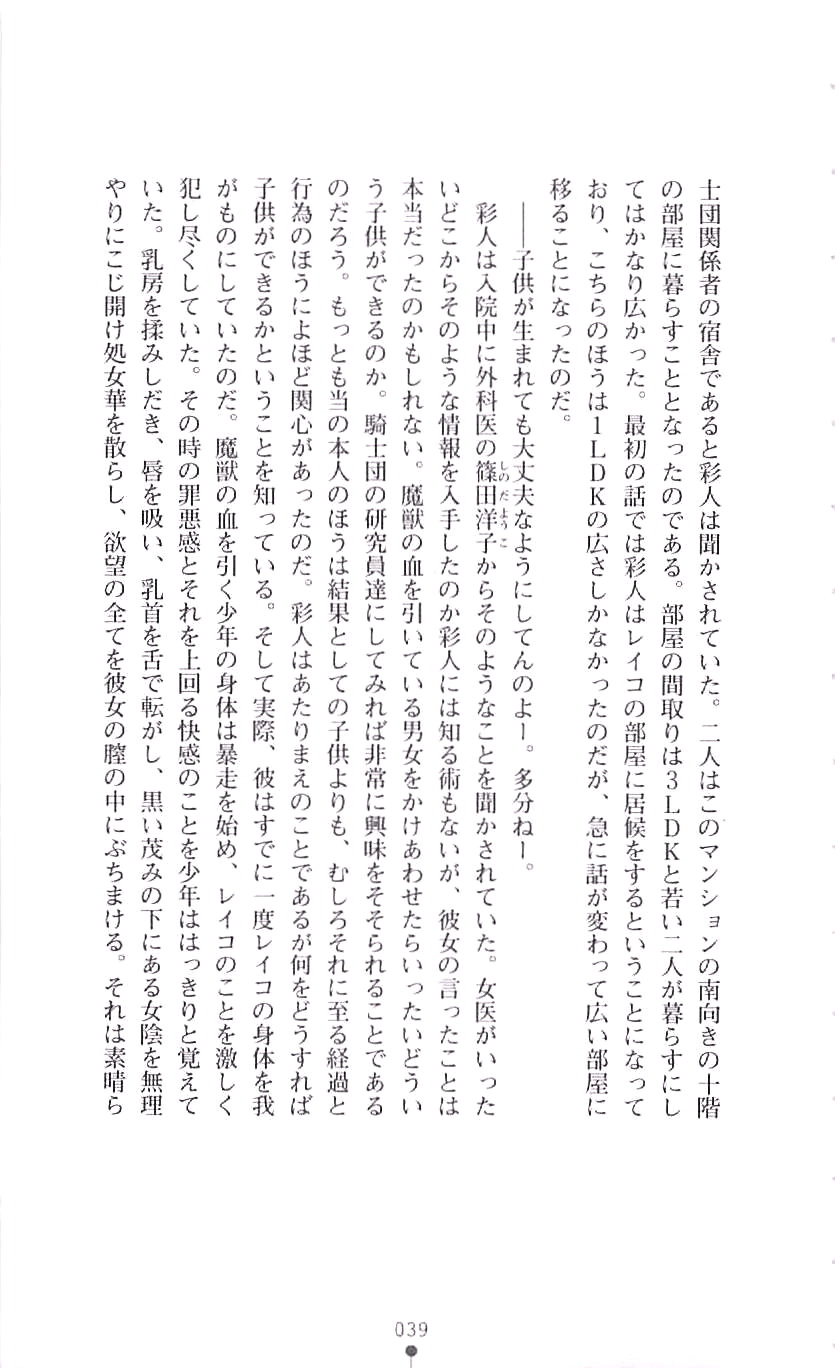 [Koushi Ryou × G-Zeroshiki·Setu] Under the White Maltese Cross 2 [黄支亮 & G-零式·刹] 白いマルタの十字の下にⅡ (二次元ドリームノベルズ019)